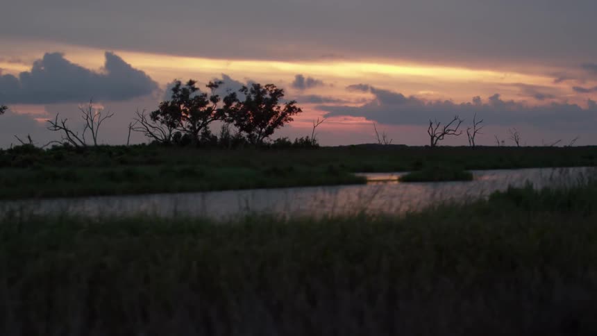 Trees line a riverbed at sunset