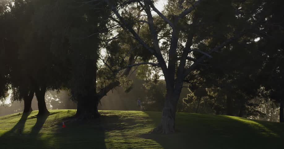 A is walking alone through a grassy area