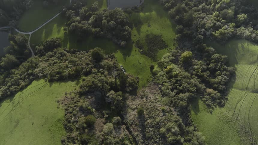 Fields with trees and walkway paths