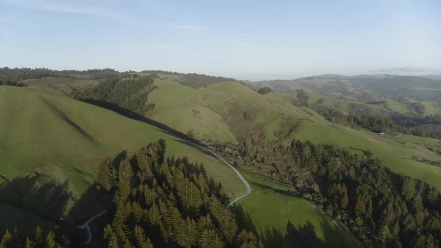 A road winds its way through forests and between large grassy hills
