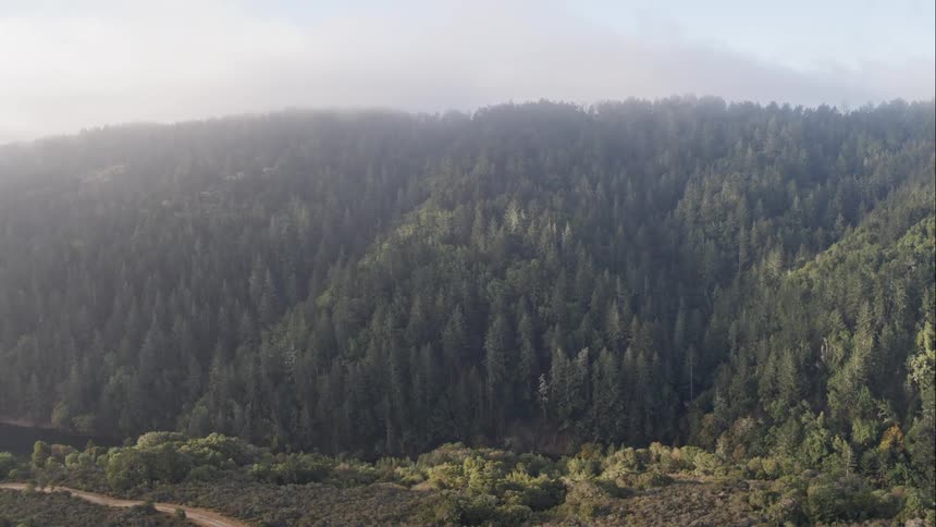Road cuts past river and forest