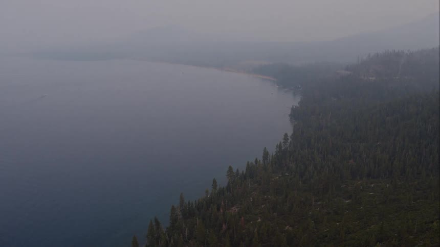 The forest lines the shore on a foggy day
