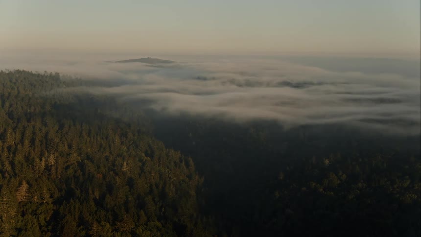 Cloud covered forest and mountain range