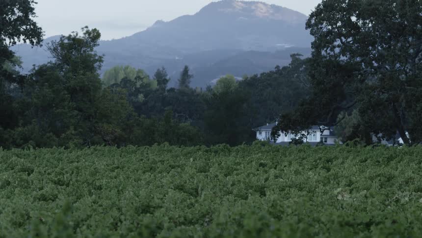 A mountain in the distance