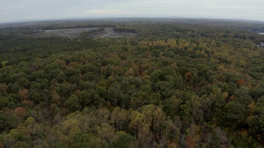 Forest surrounds circular lake under slightly cloudy sky