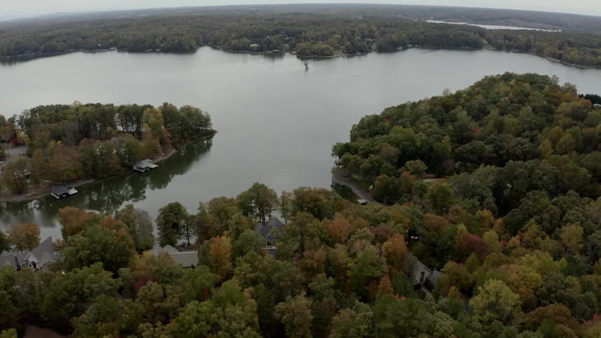 Homes occupy wooded forest surrounding a river confluence