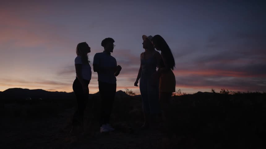 A group of people standing together and talking outdoors as it grows dark