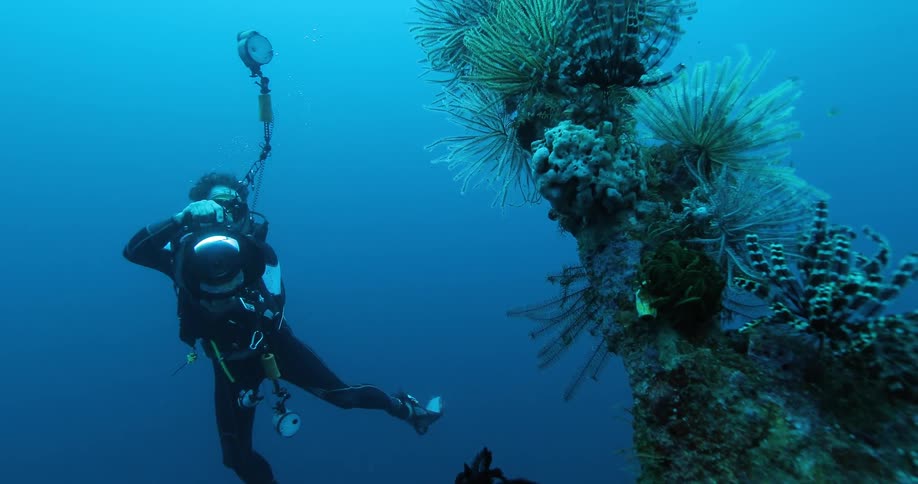 A diver underwater