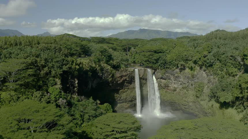A waterfall off a cliff in a dense forest