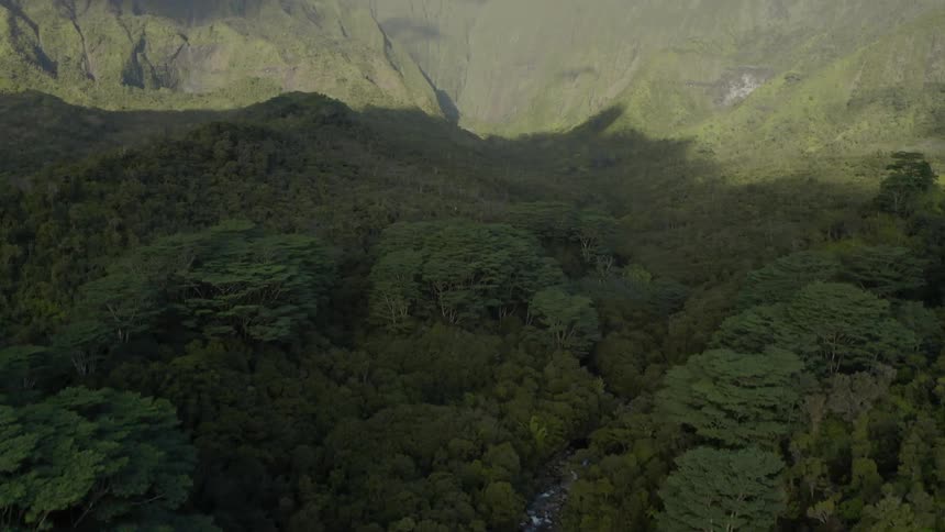 River winds through forest toward mountains