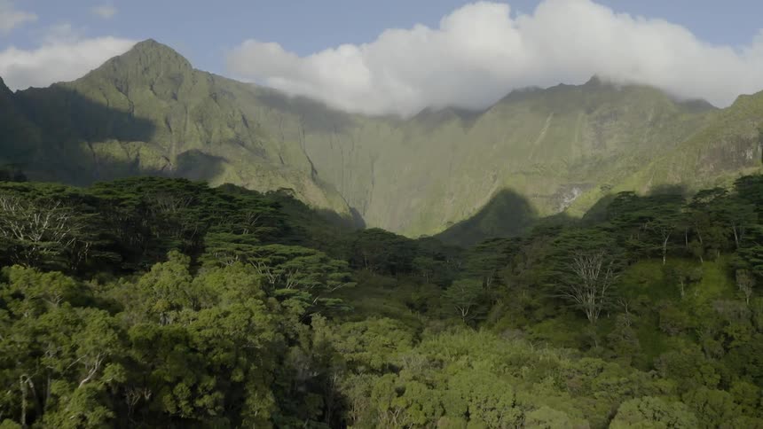 Clouds sit over vegetated mountains