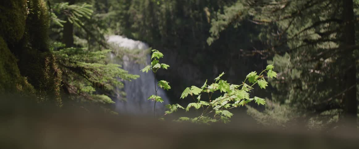 A waterfall crashes over a cliff