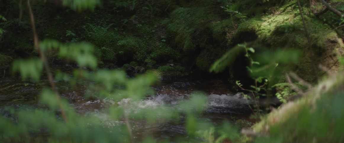 A stream of water gushes into a river