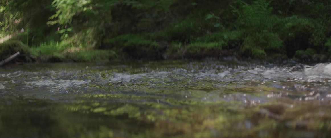 A flowing stream bubbles and splashes