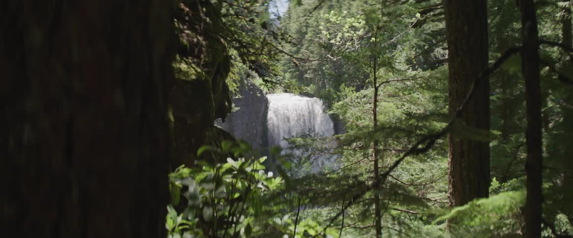 Trees surround a small waterfall