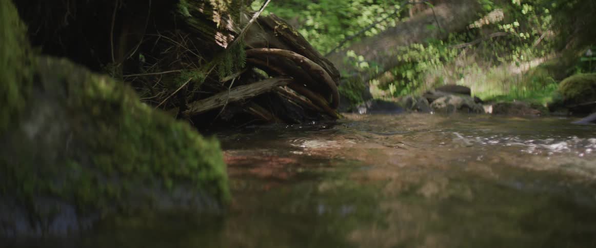 Water flows down a river