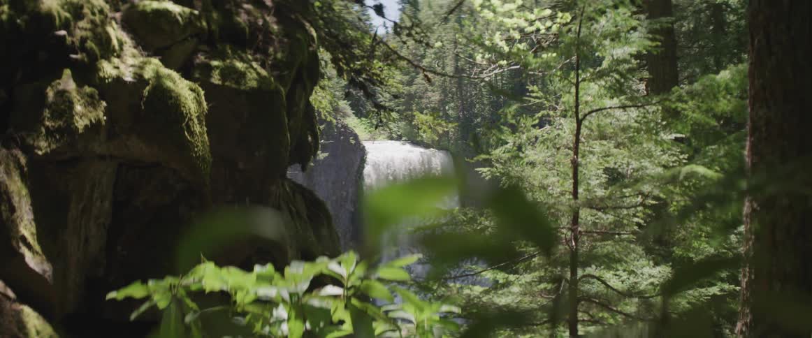 A large waterfall pours into a body of water in a forest