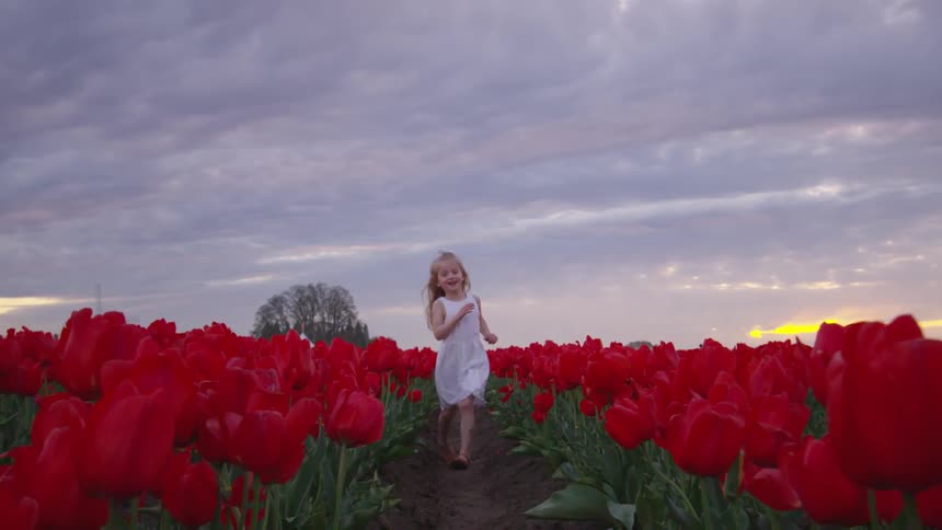 A little girl runs through a field of tulips