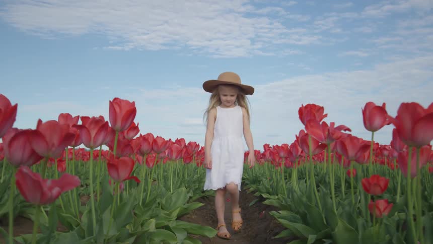 A girl in a dress and sunhat walks down a row in a field of tulips