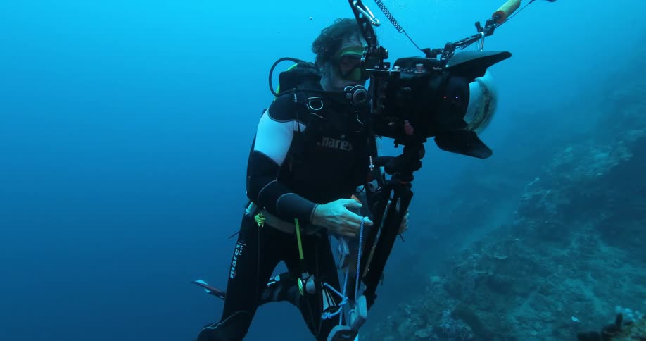 Scuba Diving In The Ocean