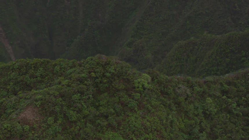 Birds eye view of a forest and large hill