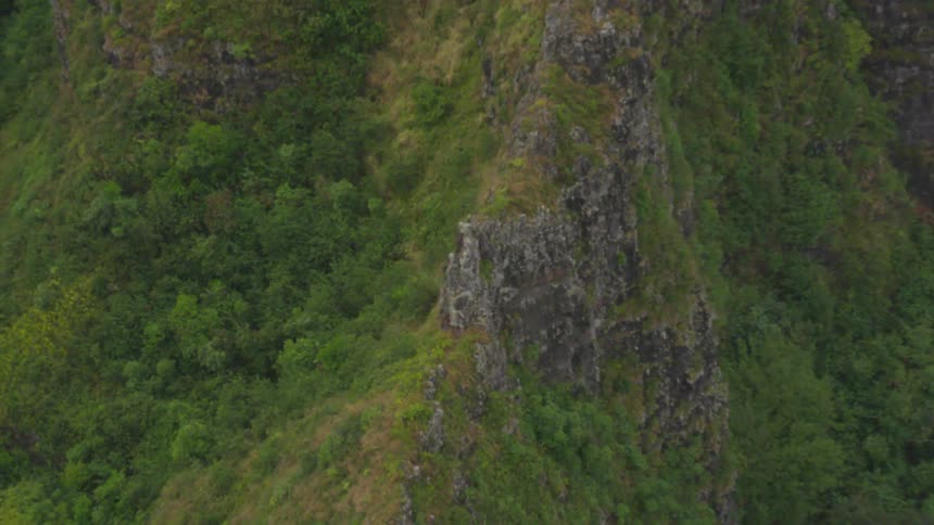 A rocky escarpment lushly covered in vegetation