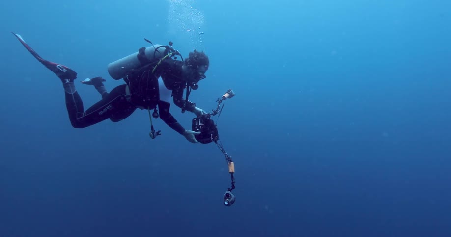 A diver holds a camera underwater