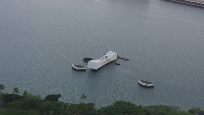 Several boats are near a shoreline with palm trees growing on it