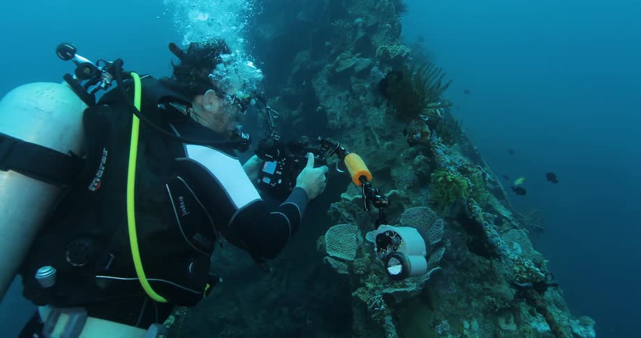 A diver photographs aquatic life