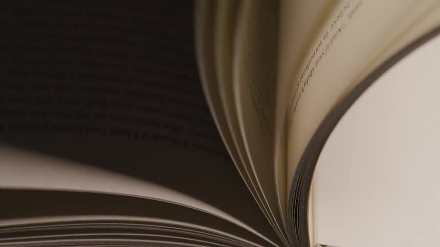 Pages of a book are being flipped through