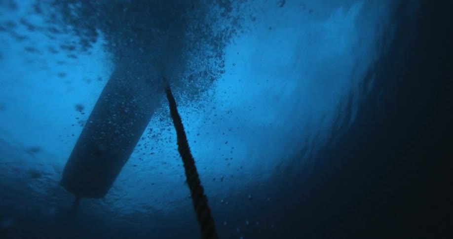 Bubbles floating to the surface