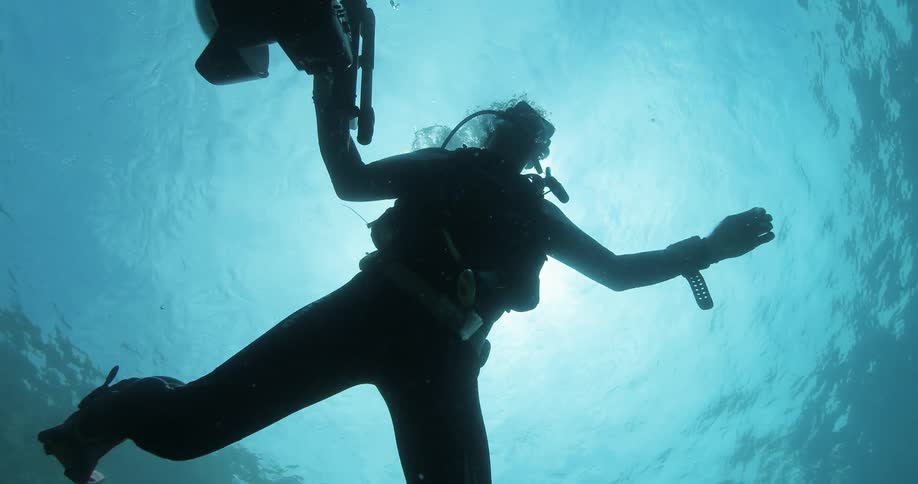 A diver swims in the ocean