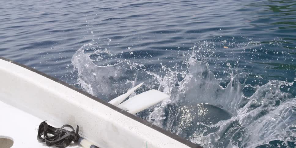 A diver falls backwards into the ocean