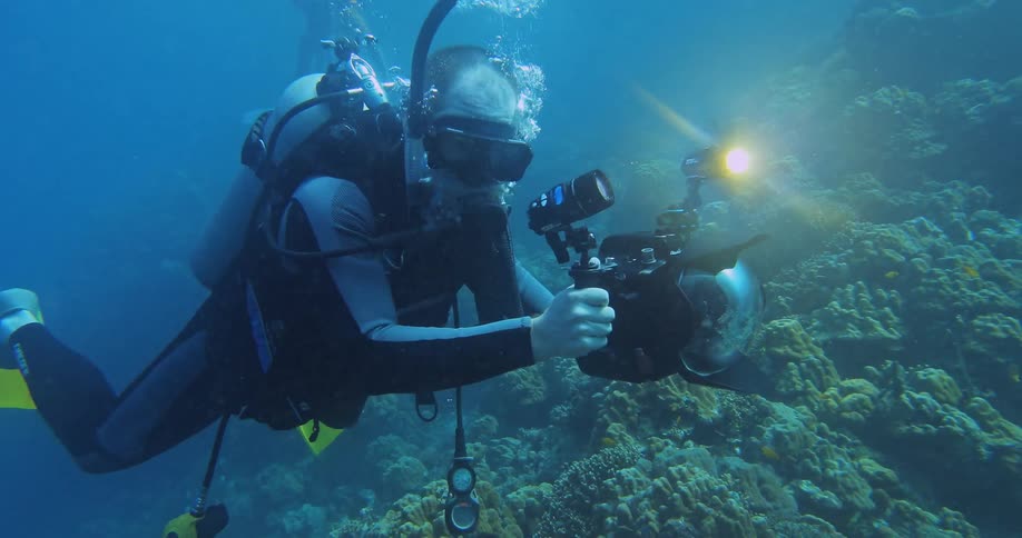A diver underwater