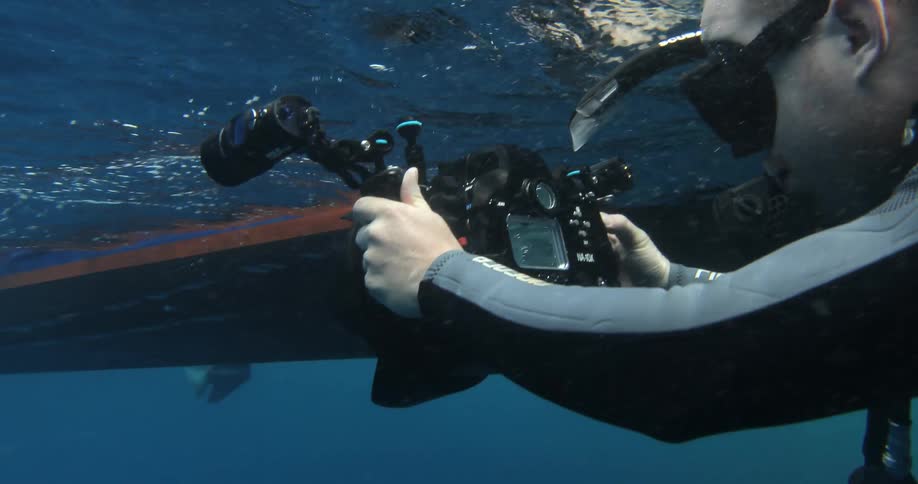 A diver underwater