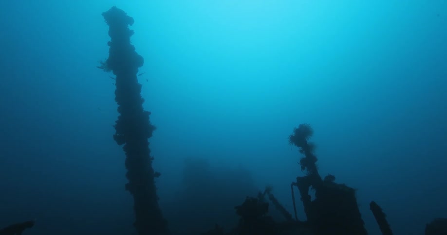 An eerie underwater view in the ocean
