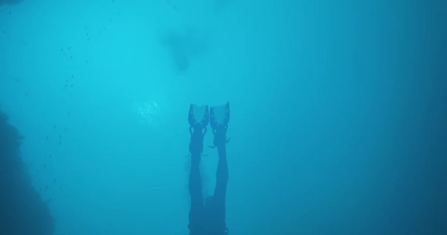 A diver swims in the ocean