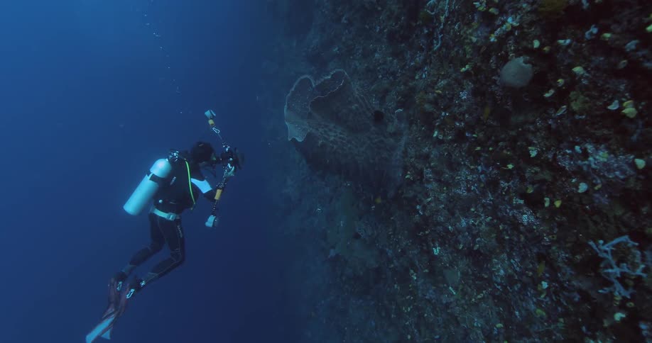 Scuba Diving In The Ocean