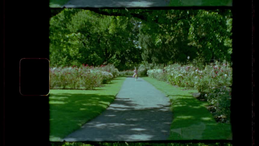 A person rides a bicycle on a path through a flowering garden on a sunny day
