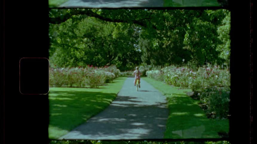 A woman cycling on a path on a summers day