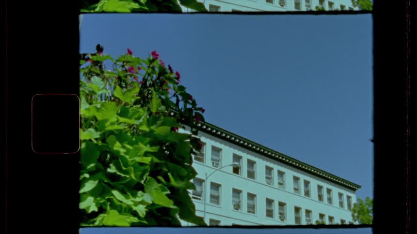 Film footage of a building with a tree in front of it