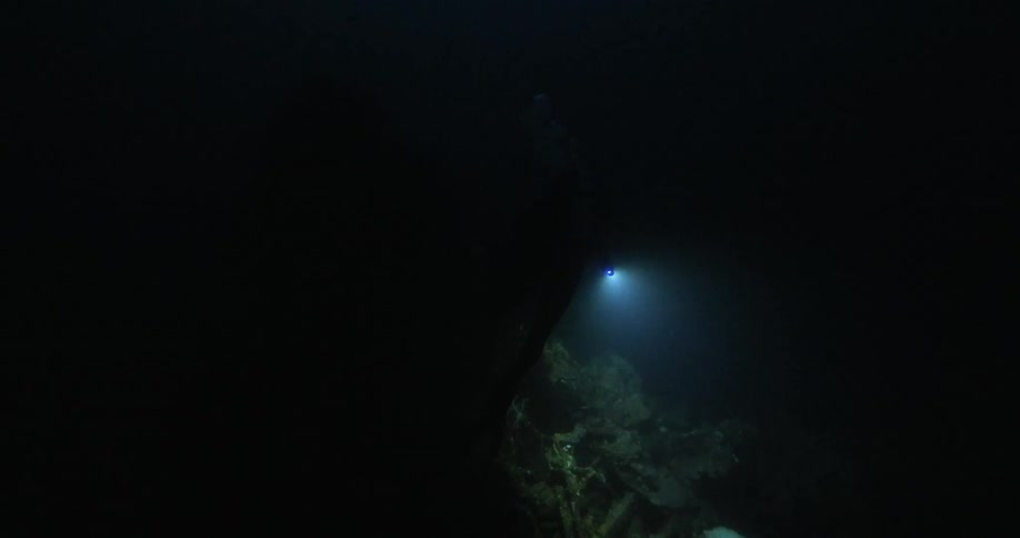 A diver is shining a light while scuba diving underwater