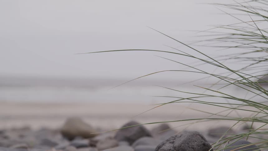 Landscape view of the ocean and beach