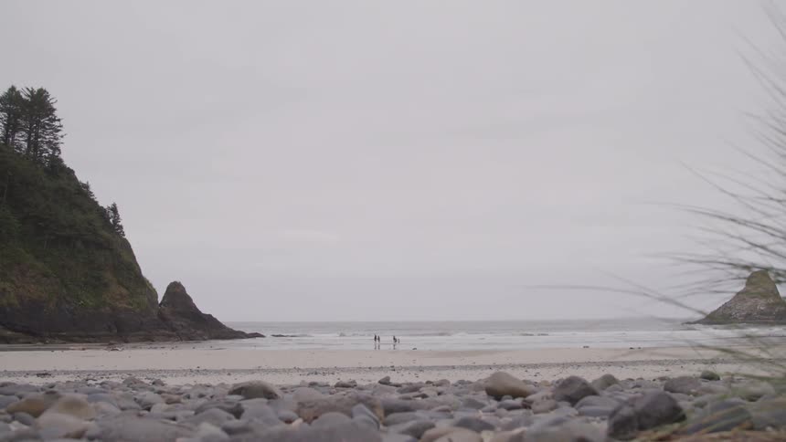 People are standing at the beach at daytime