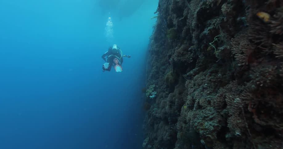 A diver swims in the ocean