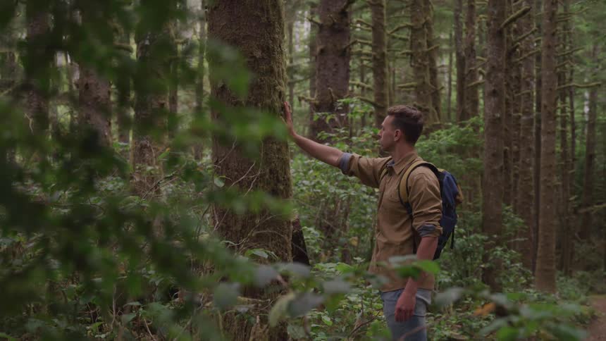 A young man touches a tree and runs his hand down it