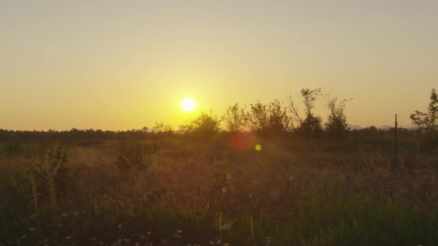 Landscape view of the sun over a field