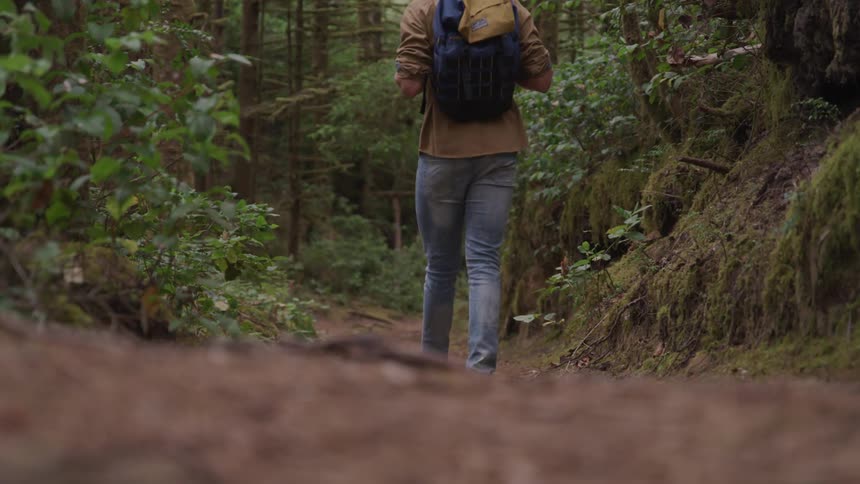 Man hiking alone in the forest