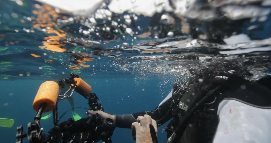 A diver is floating in the water using a camera