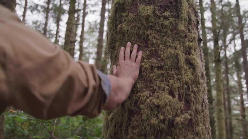 A young man runs his hand down a tree trunk